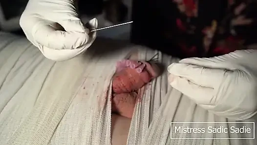 bir iğne tacı, şimdiye kadar giyeceğin tek taç!