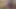 Dört seksi kızla striptiz yüksek kart heyecanlı bir oyun