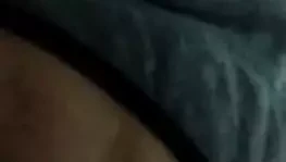 göğüsler