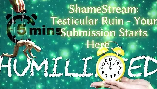 Shamestream: testis harabesi - boyun eğişin burada başlıyor