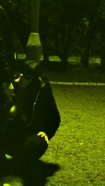 Trafik yanımızdan geçerken köpek gibi tasmalı ben ve herkes bize koşabilir... Paha biçilmez. | Klip 1