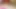Hot MILF Japanese Geisha Penetrated, Fucked and Creampied with a Black Big Cock