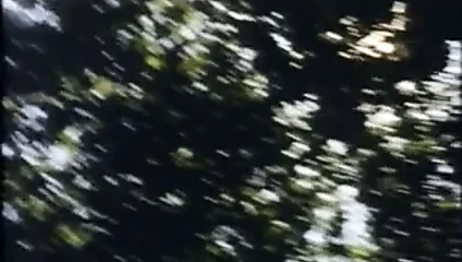 başarıya giden yolum