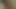 Kedi kulakları tüylü gf kedi sokma