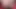 Tombul sarışın Veronica Cruz dildo ve asayla orgazm oluyor