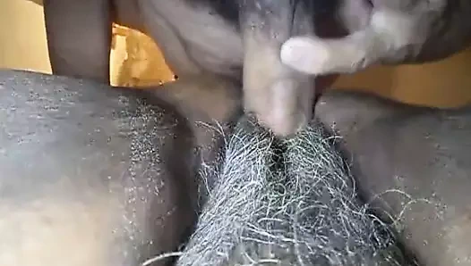 SINGANDO A MI MULATA