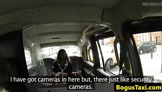 Glamours siyah İngiliz kedi becerdin doggystyle