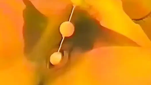 Oyuncaklarıyla kendi kendine çifte penetrasyon
