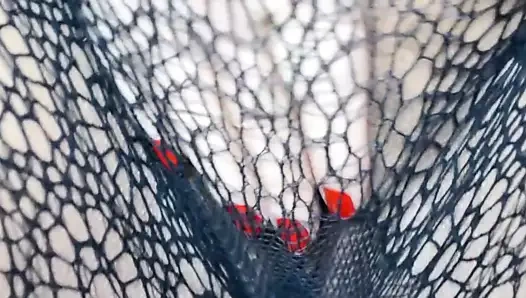 Masturbation erotique