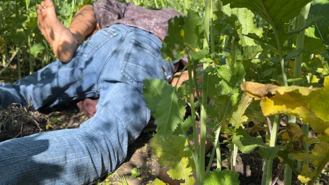 Sasumaa Jamai ke sath outside kheto me romance xxx video