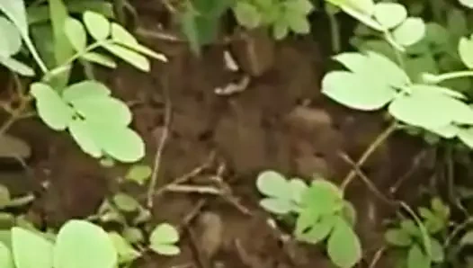 erkek arkadaş ile kapalı seks