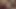 Bbw milf angelina sevgililer günü derin boğazlarını iki siyah musluklar