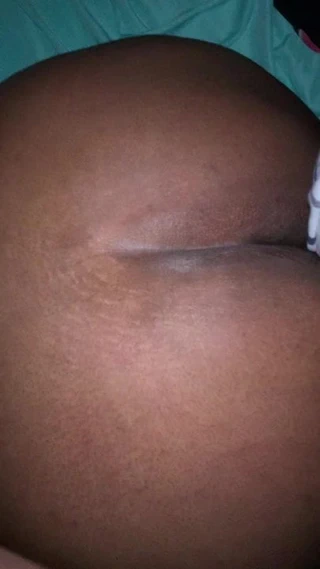 Olgun büyük ganimet country gilf köpek stili