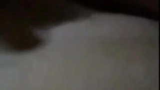 kıllı KEDİ gösteren ve plyaing