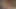Zenci tanrıça Coco Pink büyük yaraklara biraz salya akıtıyor