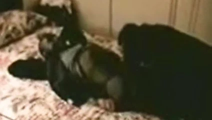 Asya karısı aşık ile siyah boğa