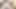 lanet xhamster üyesi