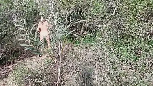 Nine ormanda sikilen bir sevgili arıyor