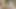 Uşak yaptı (pov macerası)