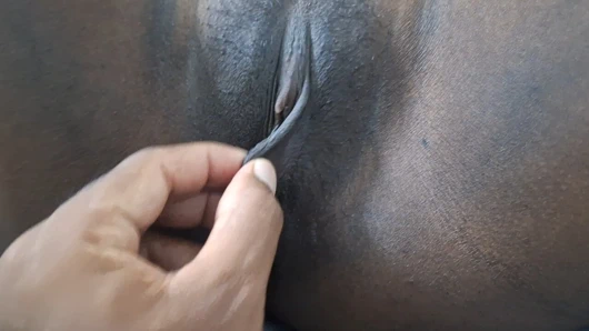 Tamil yeni ayrılacak kız arkadaş sikiliyor