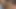 Büyük götlü travesti soyunuyor ve büyük yarağı sıvazlıyor