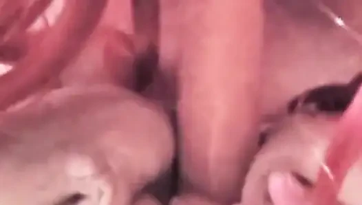 Güneyin ağzı seni az önce sikiyor