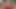 İki sürtük orta yaşlı seksi kadın temizlikçileri sikmek için baştan çıkarıyor