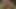 Uruguaylı olgun Kolombiyalı bir adamla ilk porno videosunu çekiyor