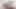 Şehvetli porno sürtük Charlotte Thorne tahrik olmuş ıslak amını parmaklatıyor ve genişletiyor