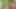 İri göğüslü güzel Sinatra Monroe iyi sikişiyor