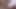 İnanılmaz ateşli sarışın, Ani Black Fox porno dan tarafından çok iyi sikiliyor