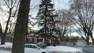 Hızlı seksi siyah deve ayak ve ganimet tozluk