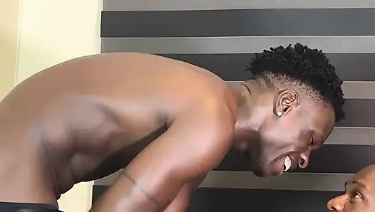 Dom Bottom