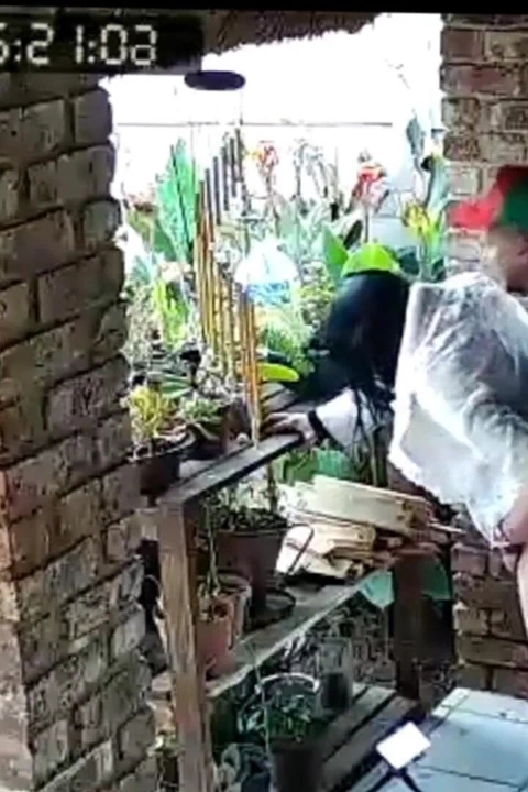 Aldatılan patron mastürbasyon yaptığı sürtük karısını sikmemi istedi