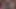 Transvr - nyxi leon deliğinin içinde bir yarak için aç