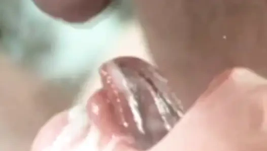 Jade pussycat klasik eylem