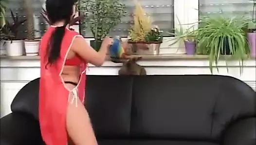 Azgın Alman ev kadınları amatör porno videosunda aktris olmak istiyor vol 2