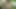 I met a beautiful girl on a dating site. She gave me a blowjob on our first date in the park