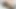Ashley ırklararası oral seks yapıyor!