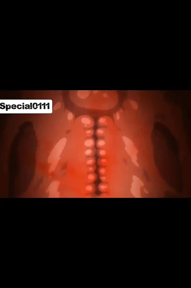 Azgın anime ve erkek arkadaşı