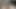 parmak kedi üzerinde yatak