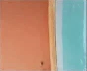 Mısır sürtükleri