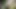 A voyeur watched me pee in the woods. I gave him a handjob and he came on my hairy pussy.