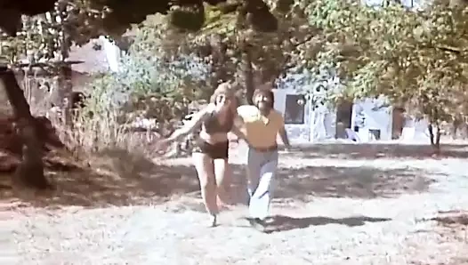 Les Obsedees (1977, France, Erika Cool, 35mm movie, DVD)