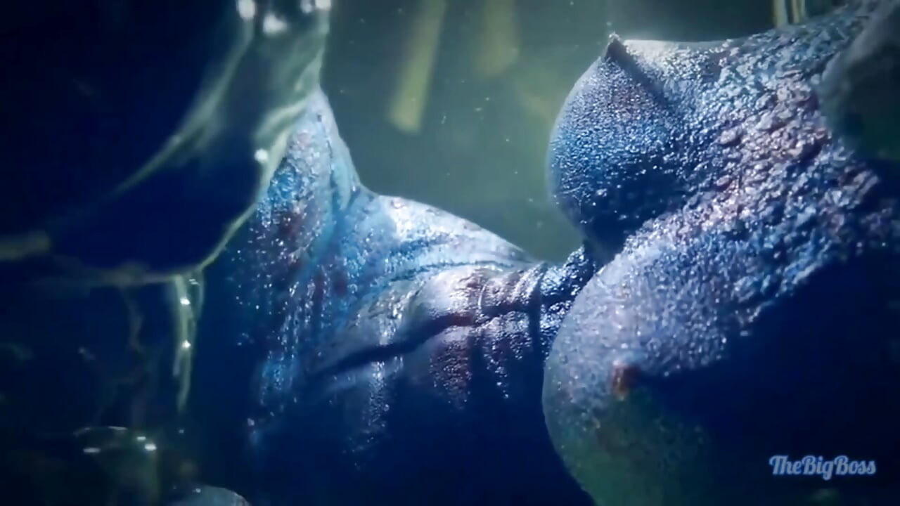 Argonian Buruşuk Simya