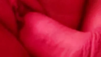 lanet olsun hayatımın aşkı