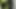 Nextdoor Yıldızı Hakimiyeti