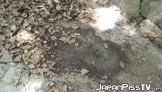 Japon röntgenci kadınları kamuya işerken buldu