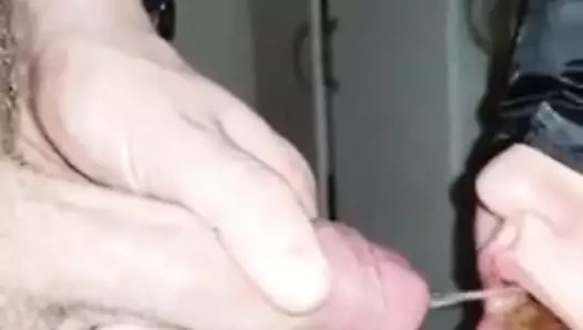 Mevud piss