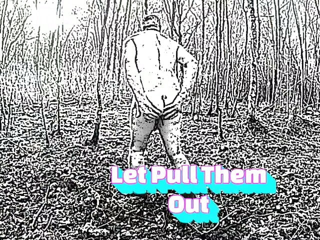 Left Something 2 2026
